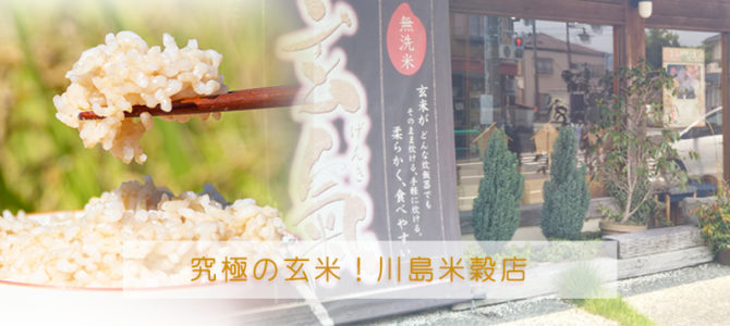 究極の玄米！静岡県の川島米穀店へお話を聞いてきました